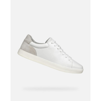 Basket Geox Chaussures